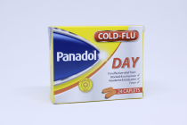 PANADOL COLD& FLU DAY 24S