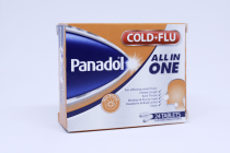 PANADOL COLD AND FLU ALL IN ONE 24S